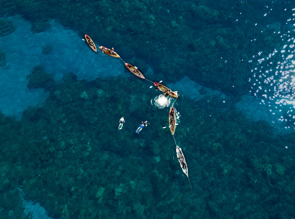 Snorkeling in Maui: Why It’s a Must-Do Experience