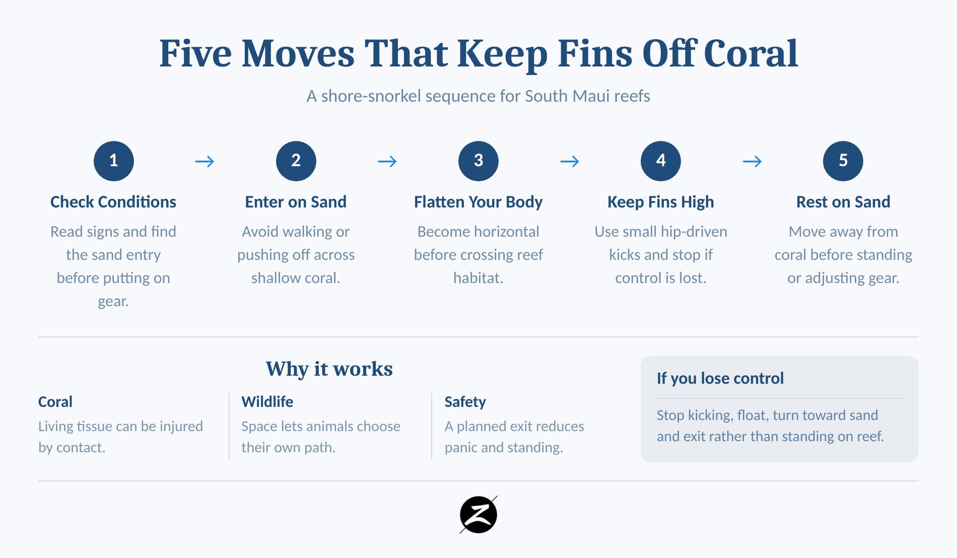 Maui Reefs: Where to See Them and How to Snorkel Responsibly 2 Five-step sequence for snorkeling over coral without touching the reef