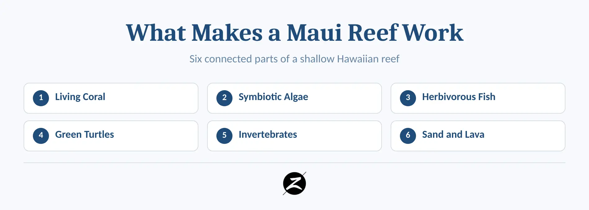 Maui Reefs: Where to See Them and How to Snorkel Responsibly 3 Anatomy of a Maui reef showing coral, algae, fish, turtle and invertebrate roles