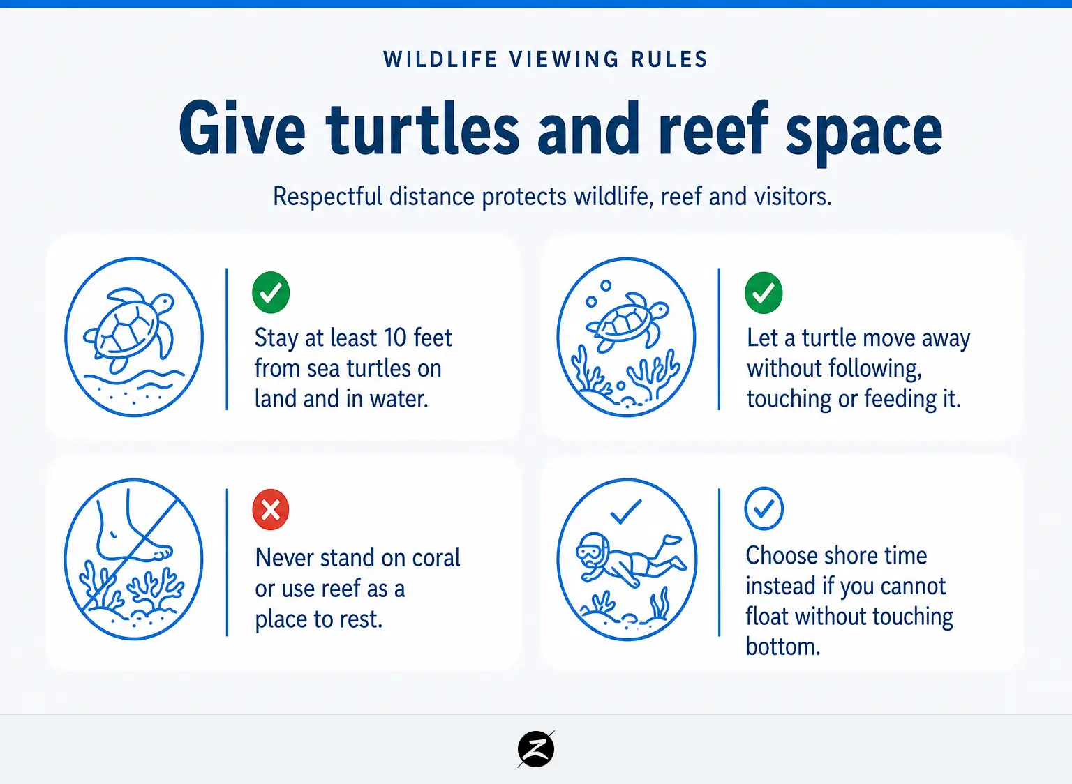 Wailea Beach Guide: Access, Swimming, Snorkeling and What to Know Before You Go 3 Checklist for viewing turtles and reef responsibly at least 10 feet away.