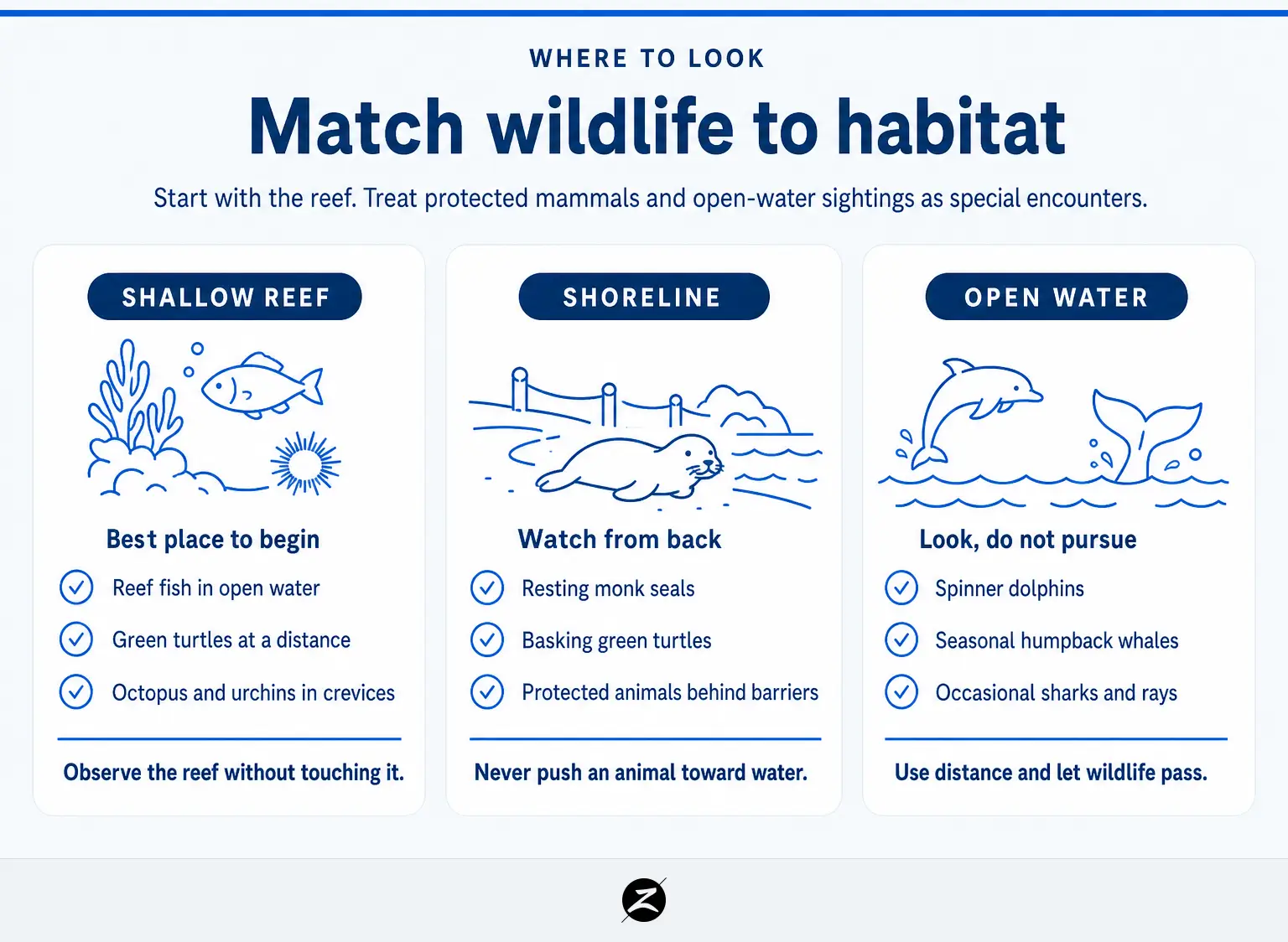 Ocean Animals in Hawaii: What You May See Around Maui’s Reefs and Coast 1 Comparison of Hawaiian marine animals by shallow reef, shoreline, and open-water habitat