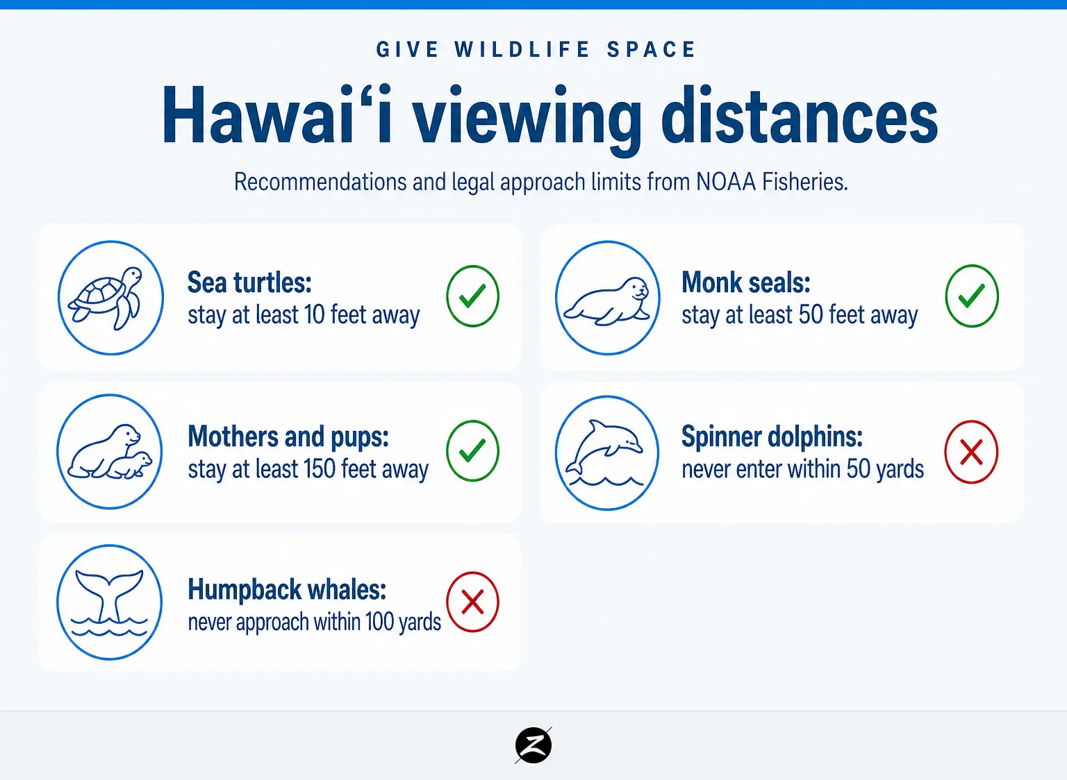 Ocean Animals in Hawaii: What You May See Around Maui’s Reefs and Coast 3 Checklist of official Hawaii marine wildlife viewing distances for turtles, monk seals, spinner dolphins, and humpback whales