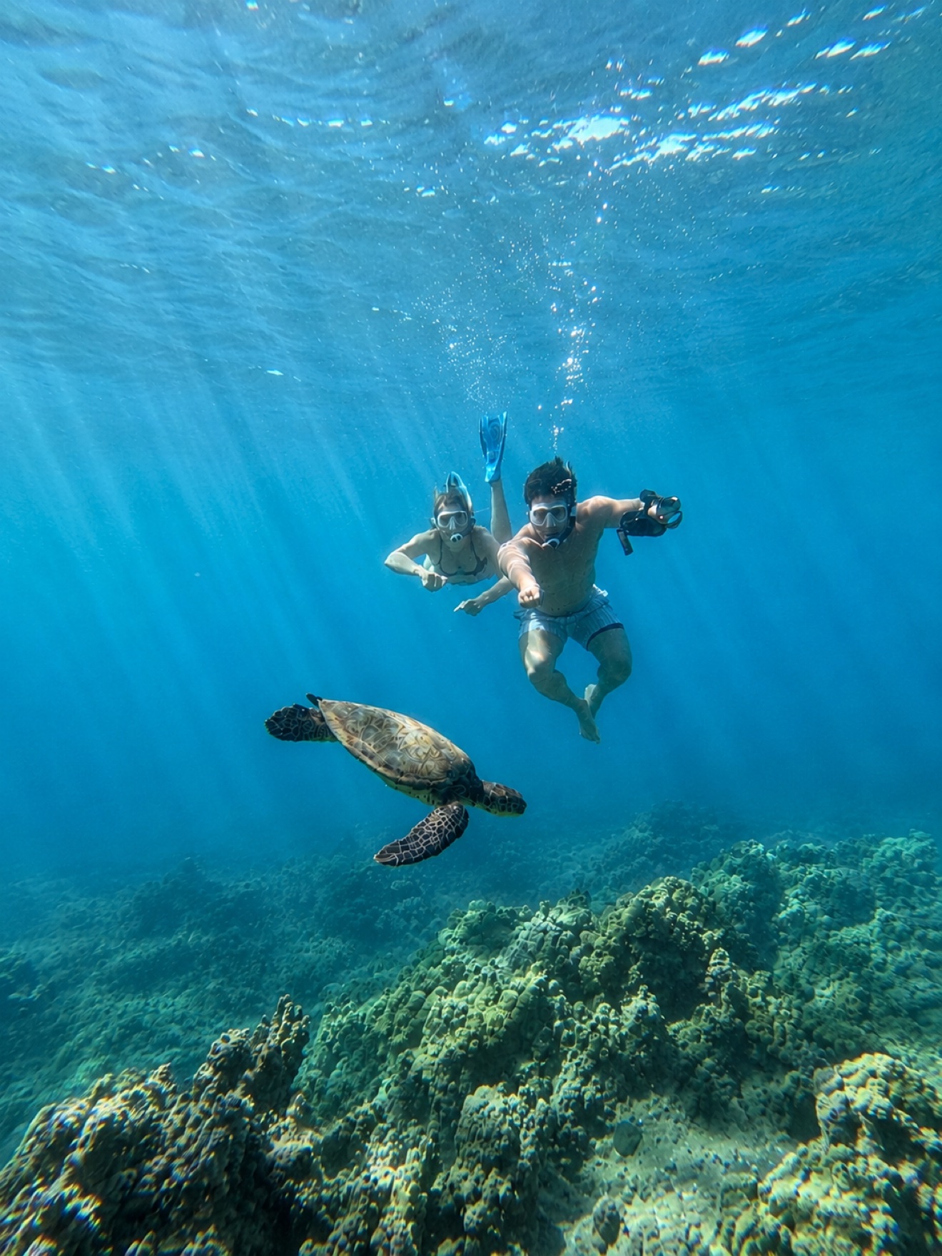 Couple holding hands while snorkeling over a sea turtle in Maui