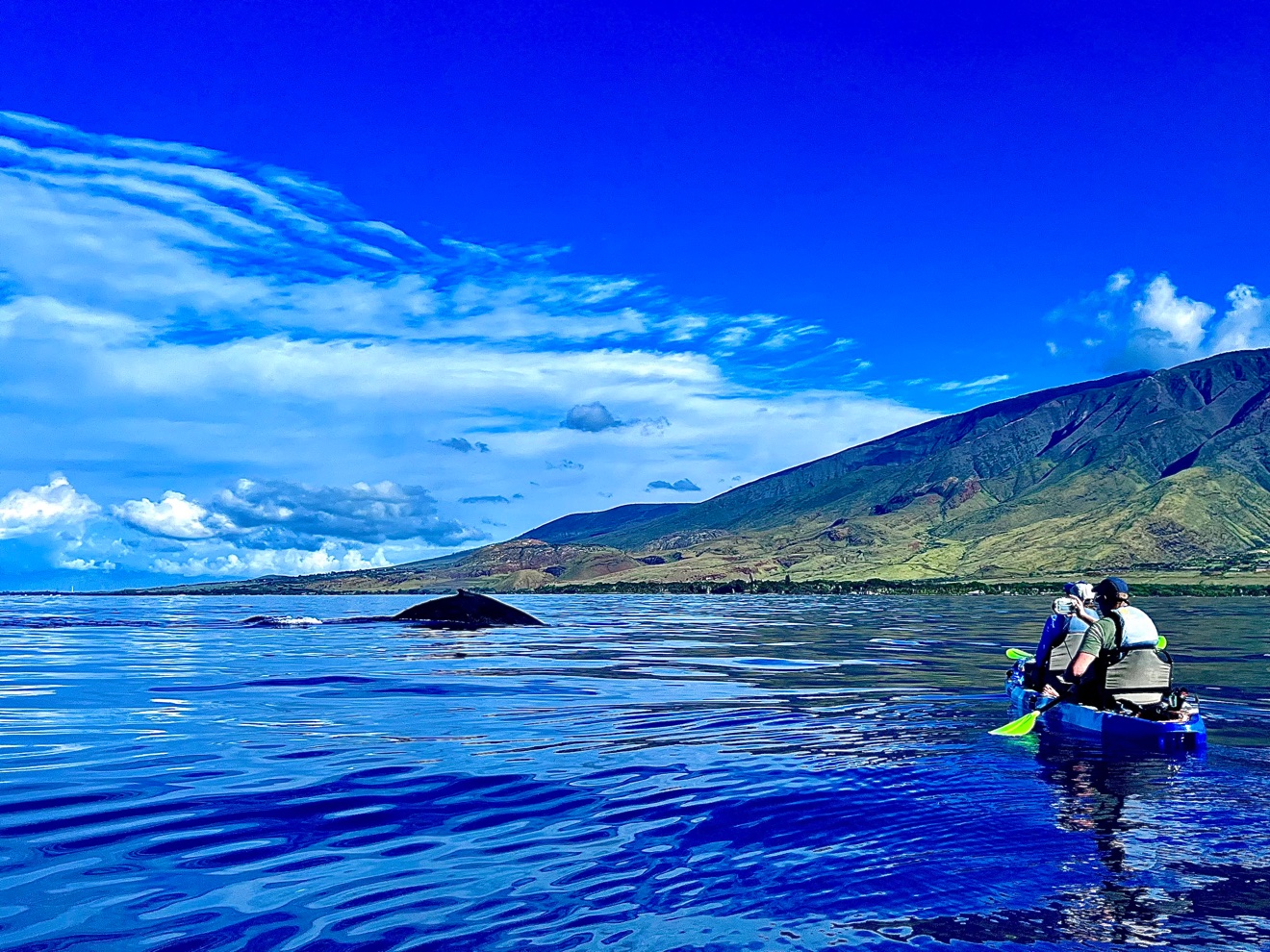 Kayaks near the shoreline at Olowalu, Maui